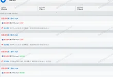 Bitmagnet Next Web - 界面简洁、资源全面的磁力搜索的网站-锦云社
